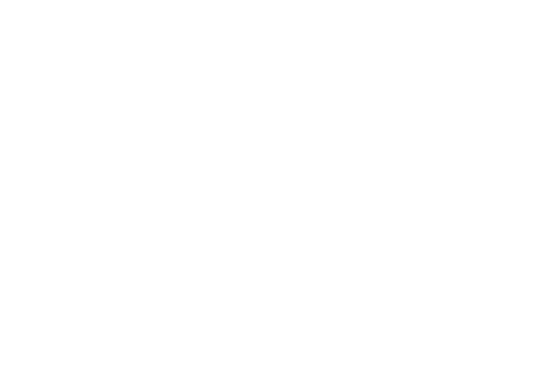 Logo mindplace